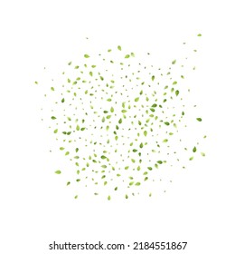 Leaves Green Falling. Spring Flying Foliage. Chaotic Leaf On White Background. Ecology Design, Nature Elements. Spring Sale Vector Illustration. Greenery Environment Backdrop.