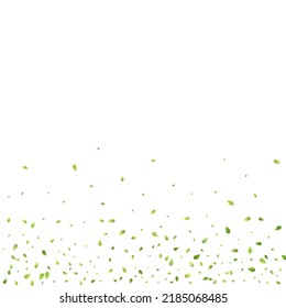 Leaves Green Falling. Spring Flying Foliage. Chaotic Leaf On White Background. Ecology Design, Nature Elements. Spring Sale Vector Illustration. Greenery Environment Backdrop.