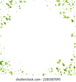 Leaves Green Falling. Spring Flying Foliage. Chaotic Leaf On White Background. Ecology Design, Nature Elements. Spring Sale Vector Illustration. Greenery Environment Backdrop.