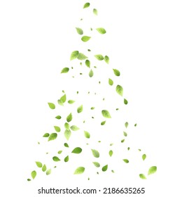 Leaves Green Falling. Spring Flying Foliage. Chaotic Leaf On White Background. Ecology Design, Nature Elements. Spring Sale Vector Illustration. Greenery Environment Backdrop.
