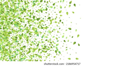 Leaves Green Falling. Spring Flying Foliage. Chaotic Leaf On White Background. Ecology Design, Nature Elements. Spring Sale Vector Illustration. Greenery Environment Backdrop.