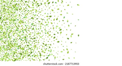 Leaves Green Falling. Spring Flying Foliage. Chaotic Leaf On White Background. Ecology Design, Nature Elements. Spring Sale Vector Illustration. Greenery Environment Backdrop.
