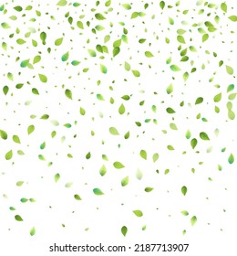 Leaves Green Falling. Spring Flying Foliage. Chaotic Leaf On White Background. Ecology Design, Nature Elements. Spring Sale Vector Illustration. Greenery Environment Backdrop.