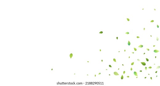 Leaves Green Falling. Spring Flying Foliage. Chaotic Leaf On White Background. Ecology Design, Nature Elements. Spring Sale Vector Illustration. Greenery Environment Backdrop.