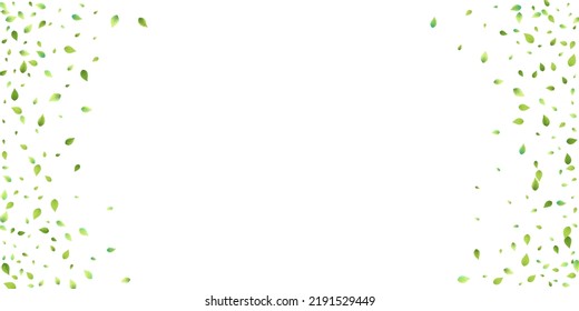 Deja La Caída Verde. Foliage volador de primavera. Hoja Caótica Sobre Fondo Blanco. Diseño ecológico, elementos naturales. Ilustración de vectores de venta de primavera. Entorno verde