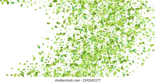 Leaves Green Falling. Spring Flying Foliage. Chaotic Leaf On White Background. Ecology Design, Nature Elements. Spring Sale Vector Illustration. Greenery Environment Backdrop.