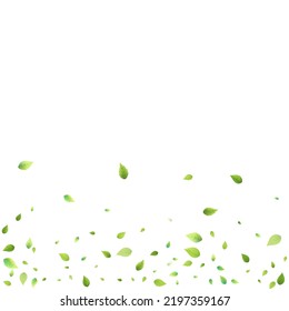 Leaves Green Falling. Spring Flying Foliage. Chaotic Leaf On White Background. Ecology Design, Nature Elements. Spring Sale Vector Illustration. Greenery Environment Backdrop.