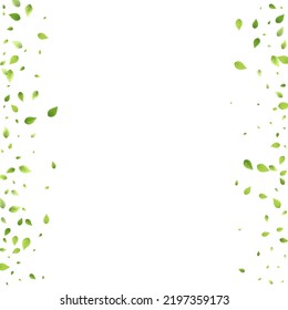 Leaves Green Falling. Spring Flying Foliage. Chaotic Leaf On White Background. Ecology Design, Nature Elements. Spring Sale Vector Illustration. Greenery Environment Backdrop.
