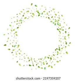 Leaves Green Falling. Spring Flying Foliage. Chaotic Leaf On White Background. Ecology Design, Nature Elements. Spring Sale Vector Illustration. Greenery Environment Backdrop.