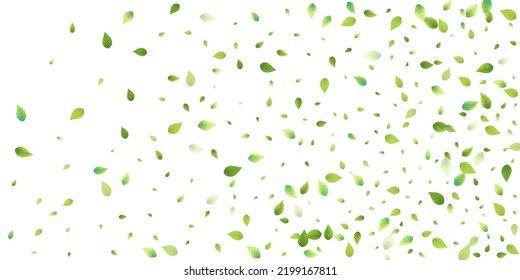Leaves Green Falling. Spring Flying Foliage. Chaotic Leaf On White Background. Ecology Design, Nature Elements. Spring Sale Vector Illustration. Greenery Environment Backdrop.