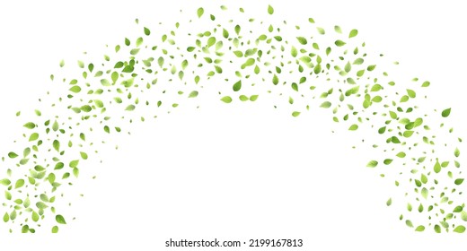Leaves Green Falling. Spring Flying Foliage. Chaotic Leaf On White Background. Ecology Design, Nature Elements. Spring Sale Vector Illustration. Greenery Environment Backdrop.