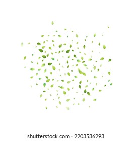 Leaves Green Falling. Spring Flying Foliage. Chaotic Leaf On White Background. Ecology Design, Nature Elements. Spring Sale Vector Illustration. Greenery Environment Backdrop.