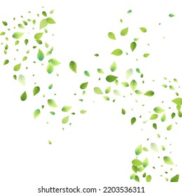 Leaves Green Falling. Spring Flying Foliage. Chaotic Leaf On White Background. Ecology Design, Nature Elements. Spring Sale Vector Illustration. Greenery Environment Backdrop.