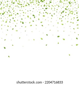 Leaves Green Falling. Spring Flying Foliage. Chaotic Leaf On White Background. Ecology Design, Nature Elements. Spring Sale Vector Illustration. Greenery Environment Backdrop.