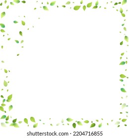 Leaves Green Falling. Spring Flying Foliage. Chaotic Leaf On White Background. Ecology Design, Nature Elements. Spring Sale Vector Illustration. Greenery Environment Backdrop.