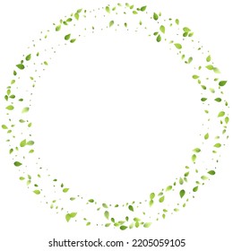 Leaves Green Falling. Spring Flying Foliage. Chaotic Leaf On White Background. Ecology Design, Nature Elements. Spring Sale Vector Illustration. Greenery Environment Backdrop.