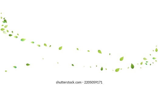 Leaves Green Falling. Spring Flying Foliage. Chaotic Leaf On White Background. Ecology Design, Nature Elements. Spring Sale Vector Illustration. Greenery Environment Backdrop.