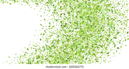 Leaves Green Falling. Spring Flying Foliage. Chaotic Leaf On White Background. Ecology Design, Nature Elements. Spring Sale Vector Illustration. Greenery Environment Backdrop.