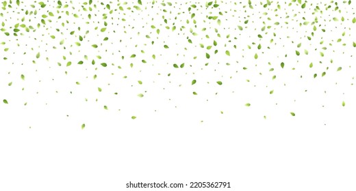 Leaves Green Falling. Spring Flying Foliage. Chaotic Leaf On White Background. Ecology Design, Nature Elements. Spring Sale Vector Illustration. Greenery Environment Backdrop.