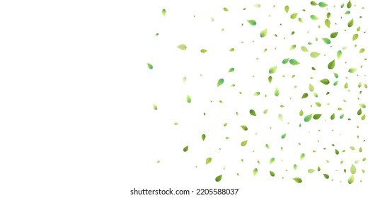 Leaves Green Falling. Spring Flying Foliage. Chaotic Leaf On White Background. Ecology Design, Nature Elements. Spring Sale Vector Illustration. Greenery Environment Backdrop.
