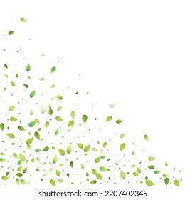 Leaves Green Falling. Spring Flying Foliage. Chaotic Leaf On White Background. Ecology Design, Nature Elements. Spring Sale Vector Illustration. Greenery Environment Backdrop.