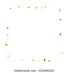 Leaves Green Falling. Spring Flying Foliage. Chaotic Leaf On White Background. Ecology Design, Nature Elements. Spring Sale Vector Illustration. Greenery Environment Backdrop.