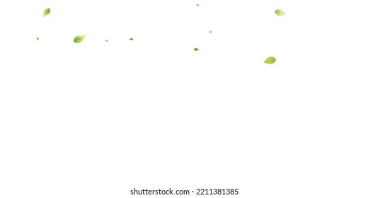 Leaves Green Falling. Spring Flying Foliage. Chaotic Leaf On White Background. Ecology Design, Nature Elements. Spring Sale Vector Illustration. Greenery Environment Backdrop.