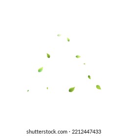 Leaves Green Falling. Spring Flying Foliage. Chaotic Leaf On White Background. Ecology Design, Nature Elements. Spring Sale Vector Illustration. Greenery Environment Backdrop.