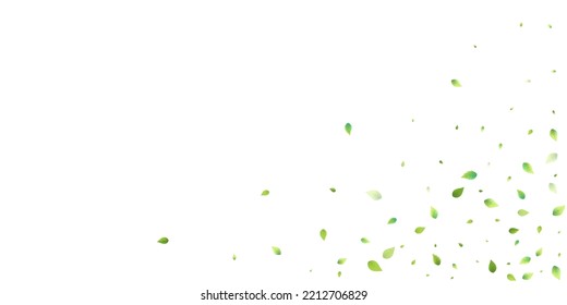 Leaves Green Falling. Spring Flying Foliage. Chaotic Leaf On White Background. Ecology Design, Nature Elements. Spring Sale Vector Illustration. Greenery Environment Backdrop.