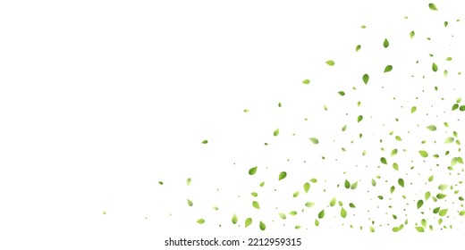 Leaves Green Falling. Spring Flying Foliage. Chaotic Leaf On White Background. Ecology Design, Nature Elements. Spring Sale Vector Illustration. Greenery Environment Backdrop.