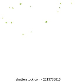 Leaves Green Falling. Spring Flying Foliage. Chaotic Leaf On White Background. Ecology Design, Nature Elements. Spring Sale Vector Illustration. Greenery Environment Backdrop.
