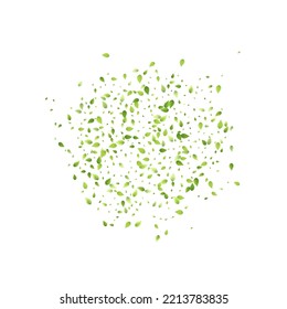 Deja La Caída Verde. Foliage volador de primavera. Hoja Caótica Sobre Fondo Blanco. Diseño ecológico, elementos naturales. Ilustración de vectores de venta de primavera. Entorno verde