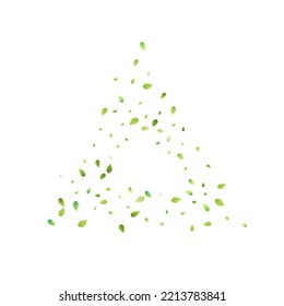Leaves Green Falling. Spring Flying Foliage. Chaotic Leaf On White Background. Ecology Design, Nature Elements. Spring Sale Vector Illustration. Greenery Environment Backdrop.