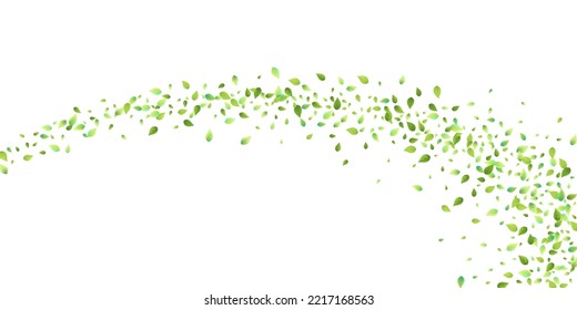 Leaves Green Falling. Spring Flying Foliage. Chaotic Leaf On White Background. Ecology Design, Nature Elements. Spring Sale Vector Illustration. Greenery Environment Backdrop.