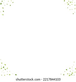 Leaves Green Falling. Spring Flying Foliage. Chaotic Leaf On White Background. Ecology Design, Nature Elements. Spring Sale Vector Illustration. Greenery Environment Backdrop.