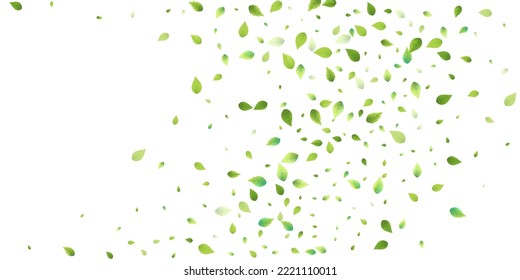 Leaves Green Falling. Spring Flying Foliage. Chaotic Leaf On White Background. Ecology Design, Nature Elements. Spring Sale Vector Illustration. Greenery Environment Backdrop.