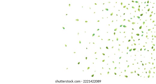 Leaves Green Falling. Spring Flying Foliage. Chaotic Leaf On White Background. Ecology Design, Nature Elements. Spring Sale Vector Illustration. Greenery Environment Backdrop.