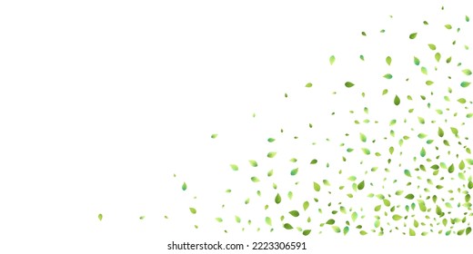 Leaves Green Falling. Spring Flying Foliage. Chaotic Leaf On White Background. Ecology Design, Nature Elements. Spring Sale Vector Illustration. Greenery Environment Backdrop.