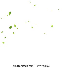 Leaves Green Falling. Spring Flying Foliage. Chaotic Leaf On White Background. Ecology Design, Nature Elements. Spring Sale Vector Illustration. Greenery Environment Backdrop.