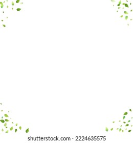Leaves Green Falling. Spring Flying Foliage. Chaotic Leaf On White Background. Ecology Design, Nature Elements. Spring Sale Vector Illustration. Greenery Environment Backdrop.