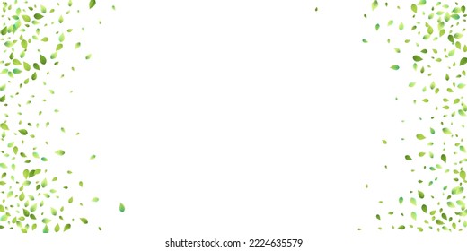 Leaves Green Falling. Spring Flying Foliage. Chaotic Leaf On White Background. Ecology Design, Nature Elements. Spring Sale Vector Illustration. Greenery Environment Backdrop.