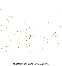 Leaves Green Falling. Spring Flying Foliage. Chaotic Leaf On White Background. Ecology Design, Nature Elements. Spring Sale Vector Illustration. Greenery Environment Backdrop.