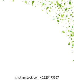 Leaves Green Falling. Spring Flying Foliage. Chaotic Leaf On White Background. Ecology Design, Nature Elements. Spring Sale Vector Illustration. Greenery Environment Backdrop.