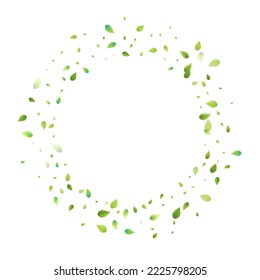 Leaves Green Falling. Spring Flying Foliage. Chaotic Leaf On White Background. Ecology Design, Nature Elements. Spring Sale Vector Illustration. Greenery Environment Backdrop.