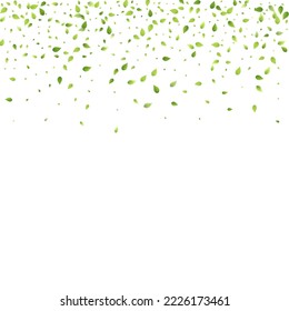Leaves Green Falling. Spring Flying Foliage. Chaotic Leaf On White Background. Ecology Design, Nature Elements. Spring Sale Vector Illustration. Greenery Environment Backdrop.