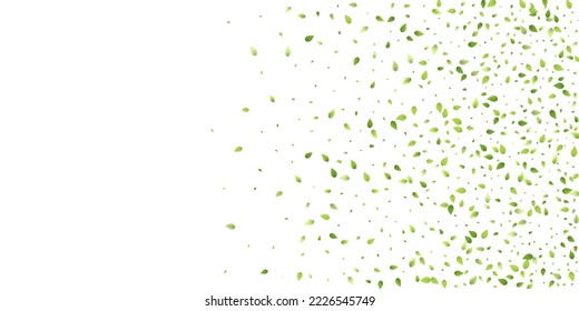 Leaves Green Falling. Spring Flying Foliage. Chaotic Leaf On White Background. Ecology Design, Nature Elements. Spring Sale Vector Illustration. Greenery Environment Backdrop.