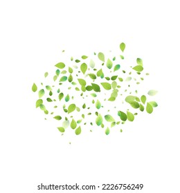 Leaves Green Falling. Spring Flying Foliage. Chaotic Leaf On White Background. Ecology Design, Nature Elements. Spring Sale Vector Illustration. Greenery Environment Backdrop.