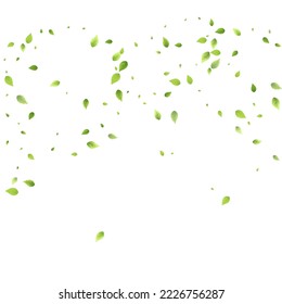 Leaves Green Falling. Spring Flying Foliage. Chaotic Leaf On White Background. Ecology Design, Nature Elements. Spring Sale Vector Illustration. Greenery Environment Backdrop.