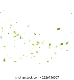 Leaves Green Falling. Spring Flying Foliage. Chaotic Leaf On White Background. Ecology Design, Nature Elements. Spring Sale Vector Illustration. Greenery Environment Backdrop.