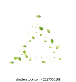 Leaves Green Falling. Spring Flying Foliage. Chaotic Leaf On White Background. Ecology Design, Nature Elements. Spring Sale Vector Illustration. Greenery Environment Backdrop.